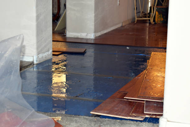 Professional Flood Cleanup technician working in Brant, MI